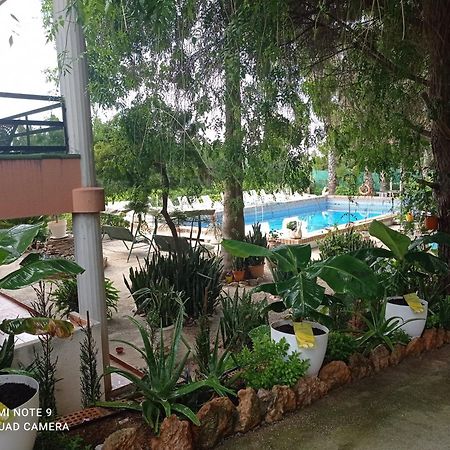 Casa Rural Complex Masia Del Tremendo Y Agroturismo Camarles Kültér fotó