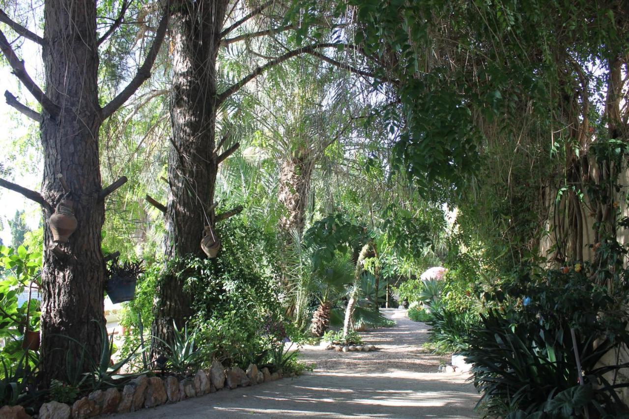 Casa Rural Complex Masia Del Tremendo Y Agroturismo Camarles Kültér fotó