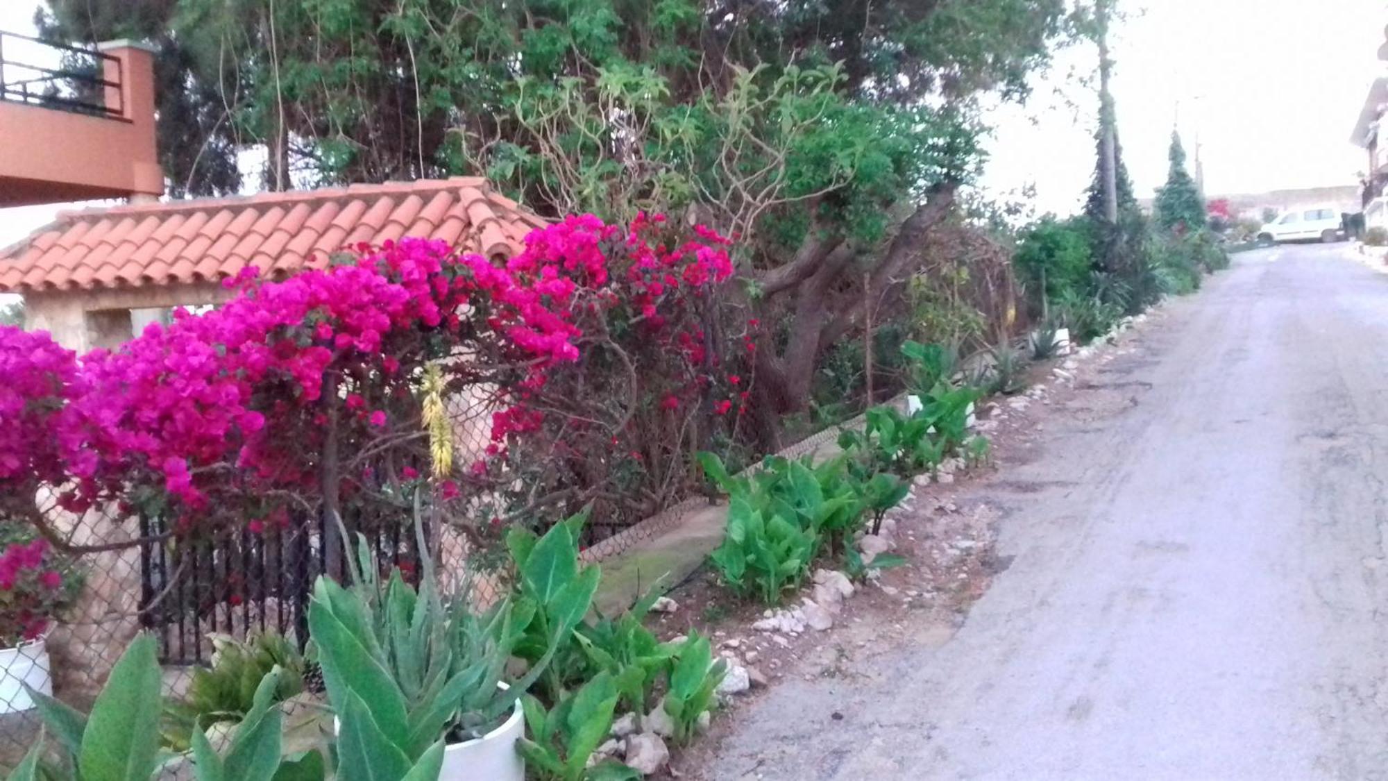 Casa Rural Complex Masia Del Tremendo Y Agroturismo Camarles Kültér fotó